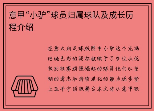 意甲“小驴”球员归属球队及成长历程介绍