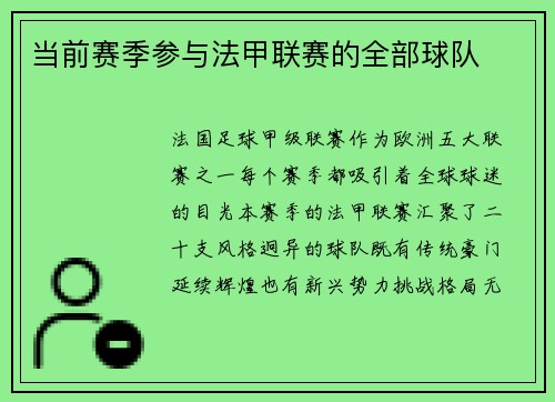 当前赛季参与法甲联赛的全部球队